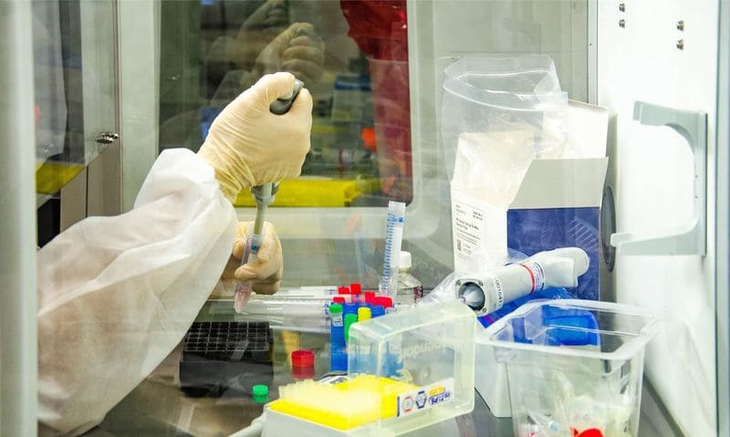 Piauí tem 440 novos casos de Covid e 14 mortes no sábado
