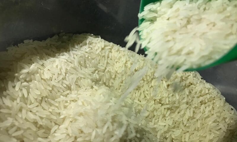 Governo zera imposto de importação do arroz