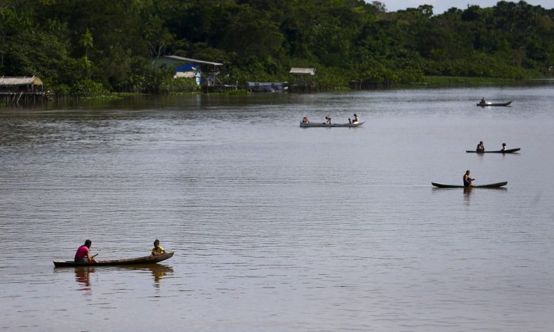 Pesquisa estuda a biodiversidade nos ecossistemas de água doce