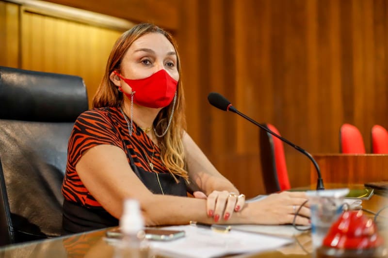Alepi vai funcionar de forma presencial só às terças e quartas