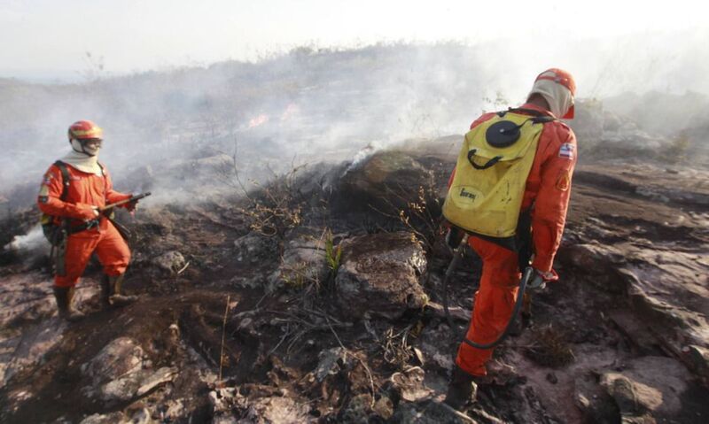 Ibama é autorizado a contratar 1.659 brigadistas temporários