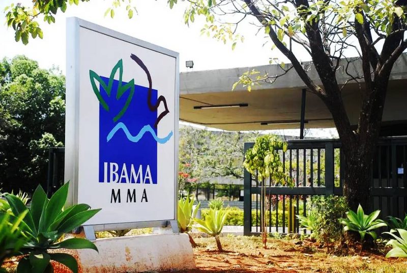 Ibama abre concurso público com 568 vagas e salários até R$ 8,5 mil