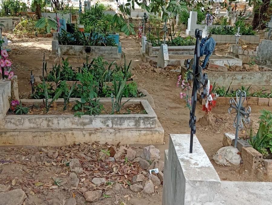 Cemitérios abrem mais cedo no Dia de Finados e terão missas presenciais