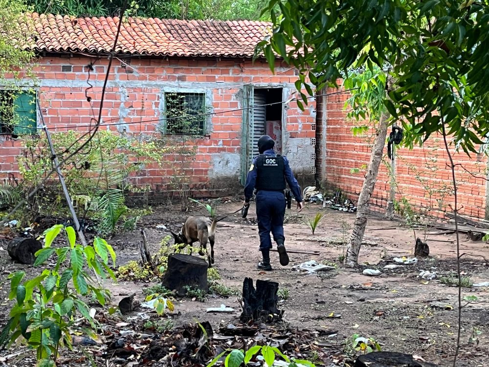 Polícia faz operação na zona Sudeste de Teresina