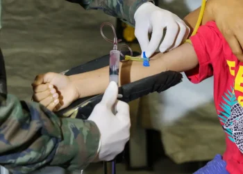 Piauí tem queda no número de casos confirmados de dengue, diz Ministério da Saúde