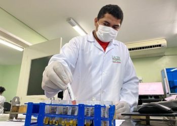 Lacen confirma oito casos de febre oropouche no Piauí; veja sintomas e tratamento