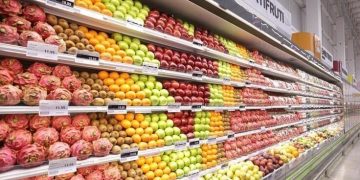 Reforma tributária: Cesta básica nacional terá 15 alimentos com imposto zerado