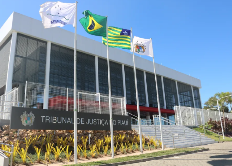 2º grau do TJ-PI julga 1.288 processos de “violência doméstica” e “direito do consumidor”