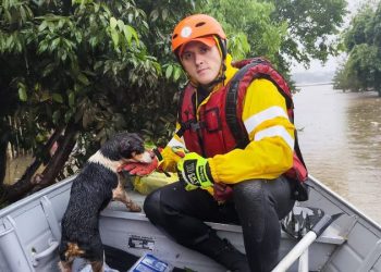Bombeiros do Piauí auxiliam famílias e resgatam mais de 30 animais no Rio Grande do Sul