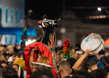 Dia Nacional do Bumba-meu-boi é festejado hoje em São Luís