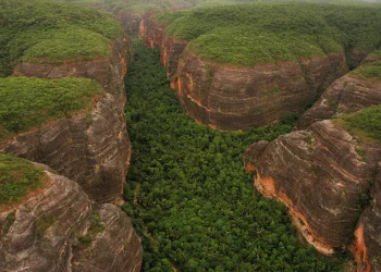 Projeto trata da ampliação da área do Parque Nacional da Serra das Confusões