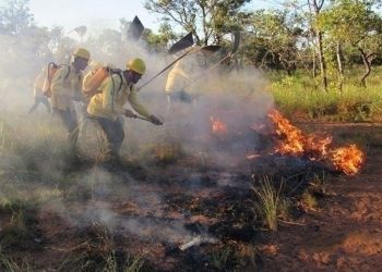 Defesa Civil e Corpo de Bombeiros alertam população para riscos das queimadas