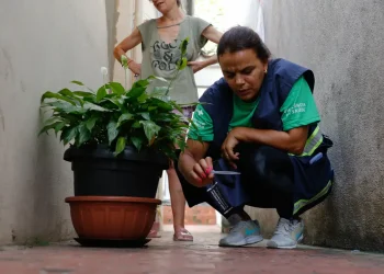 Brasil se aproxima de 5 mil mortes por dengue em 2024
