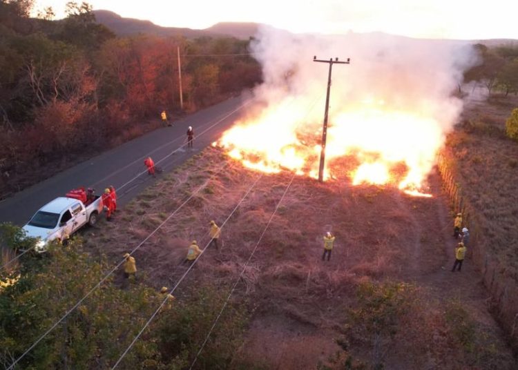 Piauí usa IA no monitoramento e prevenção de incêndios