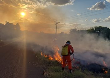Dois brigadistas morrem ao combater incêndios em Uruçuí