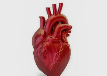 Doenças cardiovasculares matam 400 mil brasileiros por ano, diz SBC