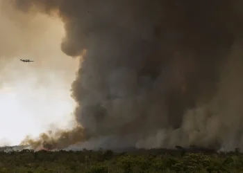 Fogo avança e queima 700 hectares do Parque Nacional de Brasília; PF investiga origem