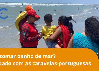 Vai tomar banho de mar? Muito cuidado com as caravelas-portuguesas