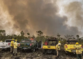 Força Nacional do SUS ampliará ação em áreas afetadas por fogo