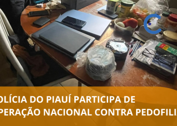 Polícia do Piauí participa de operação nacional contra pedofilia