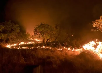Brasil reduz em 12% emissões de gases do efeito estufa em 2023, diz estudo