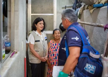 Dia D contra dengue: ministra alerta para prevenção antes do verão