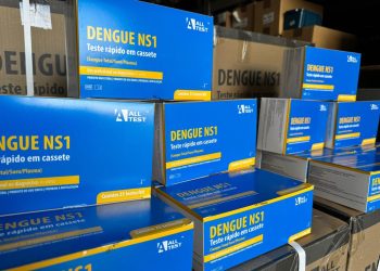Piauí recebe mais de 10 mil testes rápidos para detectar dengue