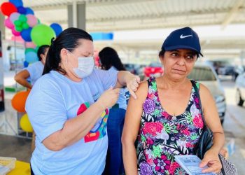Piauí já recebeu 568 mil doses para vacinação contra gripe