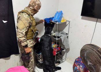 Polícia do Piauí prende 28 mulheres envolvidas com facção criminosa em Teresina e interior