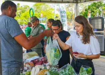 Piauí anuncia investimentos acima de R$ 100 milhões na agricultura familiar