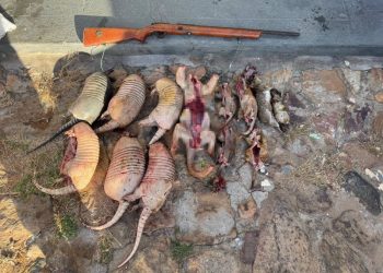 Em nova ação, PMPI prende mais caçadores na Serra da Capivara