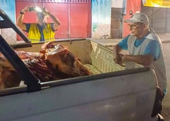 Vigilância Sanitária realiza apreensão de carne bovina clandestina em Teresina