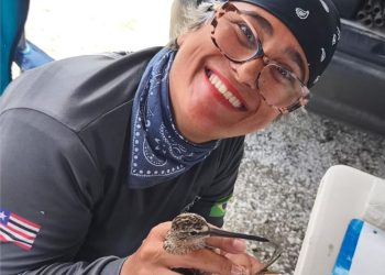 Professora da Uema integra projeto internacional para estudar aves migratórias