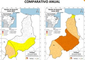 Estudos do governo apontam avanço da seca em todo o Piauí