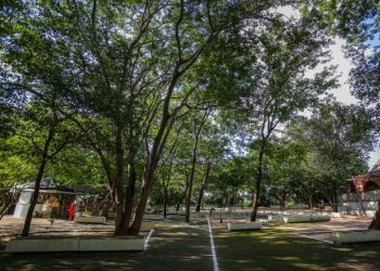 UrbanShift: Teresina acelera ações para enfrentar mudanças climáticas