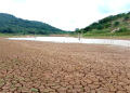 Defesa Civil reforça ações de combate aos efeitos da seca no Piauí