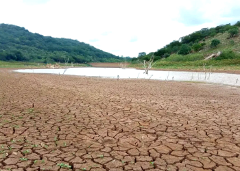 Defesa Civil reforça ações de combate aos efeitos da seca no Piauí