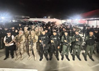 Polícia Civil cumpre 13 mandados de busca em operação contra fraudes no Poder Judiciário