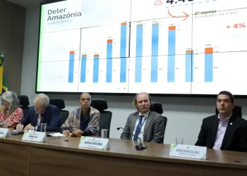 Em 12 meses, desmatamento cai 20% no Cerrado e sobe 4% na Amazônia, diz Inpe