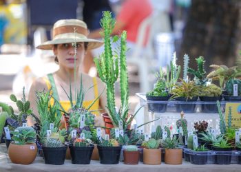 Feira “Vem Pra Saraiva”, no centro de Teresina, terá três edições em agosto