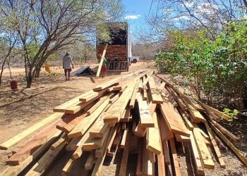 Apreensão de madeira ilegal no Piauí cresce 86% de janeiro até agora, diz Semarh