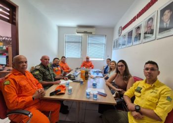 MPPI e órgãos ambientais discutem estratégias para evitar queimadas