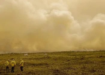 Seca avança no Piauí e número de queimadas aumenta em 23%
