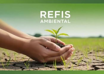 Piauí lança 1º Refis Ambiental com até 90% de desconto em multas; saiba quem pode participar