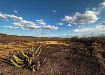 Seca extrema atinge 22,2% do Piauí, afirma estudo da Semarh