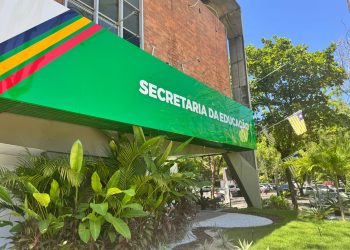 Seduc abre seleção para professores e técnicos em áreas estratégicas da rede estadual