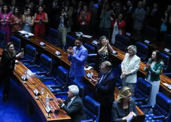 Senado Federal aprova projeto de lei contra adultização de crianças na internet