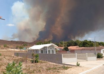 Semarh prorroga proibição do uso do fogo no Piauí; número de incêndios cai 23,3% após portaria