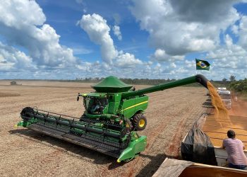 Piauí se mantém em quarto lugar no NE em valor da produção agrícola