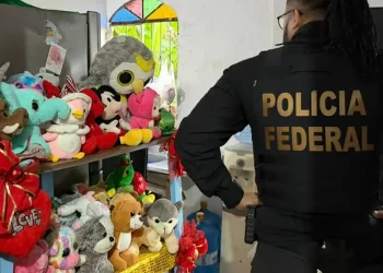 Polícia Federal deflagra operação no Piauí contra abuso sexual de crianças